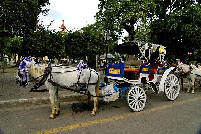 Horse Carriage - Surprisingly these are at least as popular with the Nicaraguans as foreign tourists.