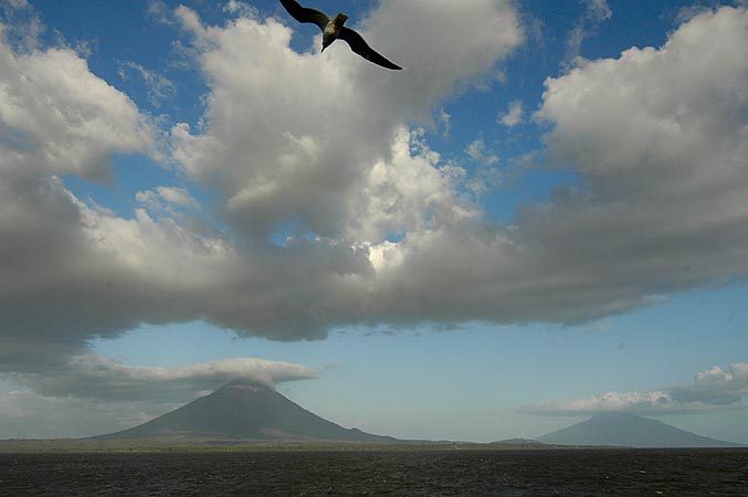 A bird leads the way on to Ometepe Island.