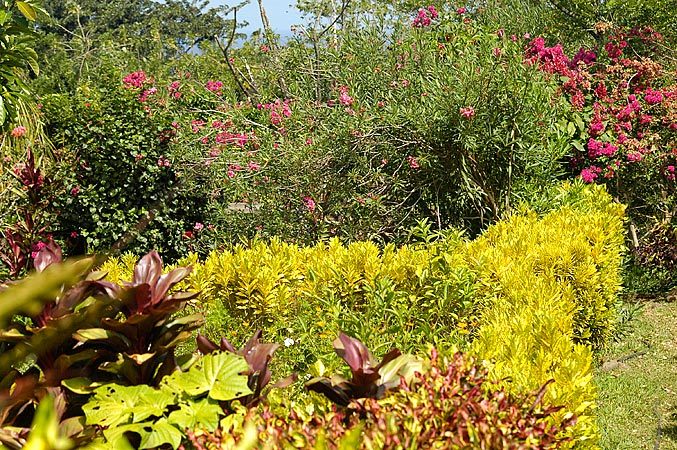 There is so much greenery on Ometepe, at times it feels like the Garden of Eden.