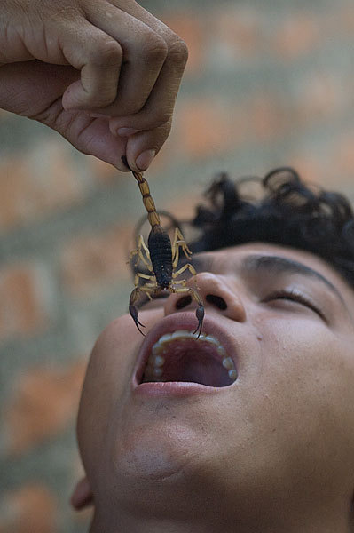 No, he didn't really eat it.