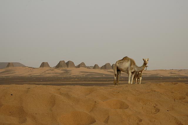 Pyramids at Meroe - I skipped the offer of a camel ride and walked there.