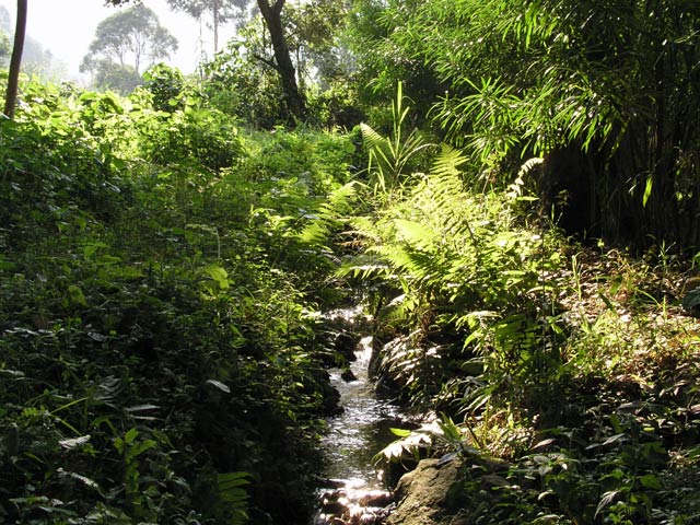 Nyakalengija - This is only a drainage ditch used for washing dishes and clothes, but it was very scenic.