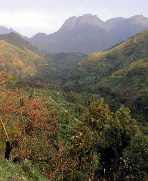 Nyakalengija - One road winds through the valley.