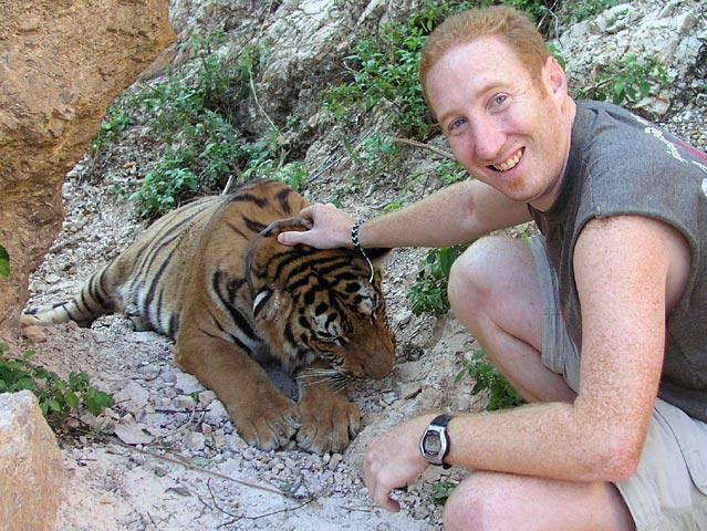 I gave the tiger a good scratch behind the ears and under the chin.  He even licked my hand.