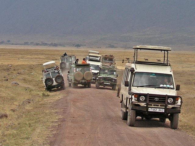 The unfortunately reality of Safaris - traffic jams
