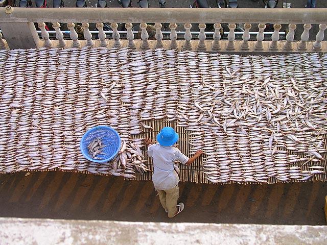 Laying fish out to dry at the Russian Market