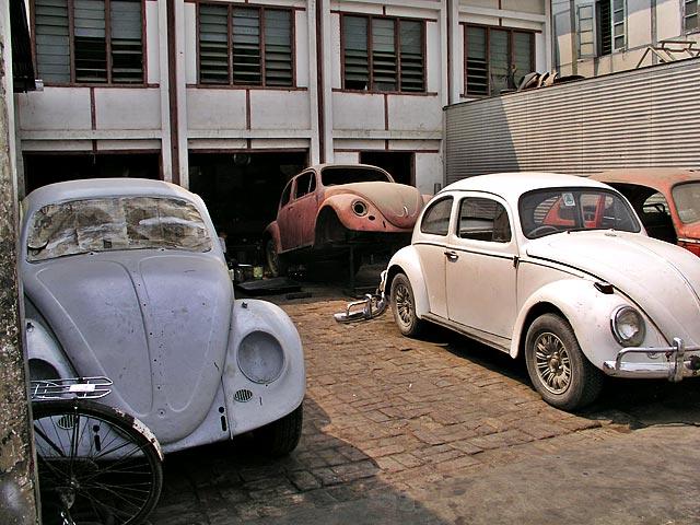 Myanmar isn't where bugs go to die - it's where they come to be reborn.