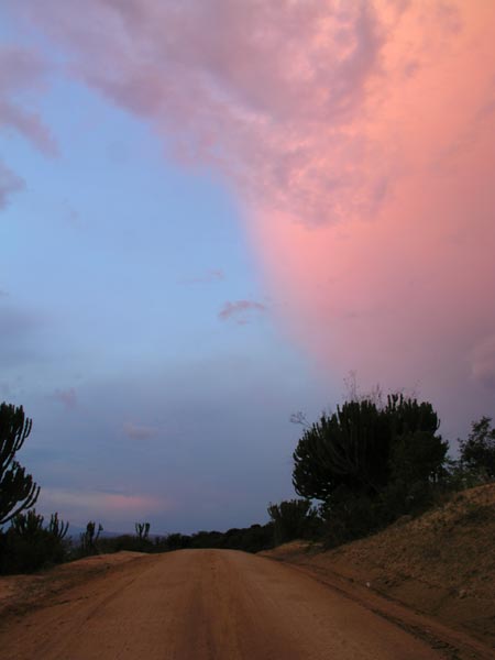 Sunset - Queen Elizabeth Park - Amazing light and colors.
