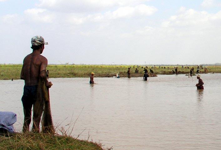 Fishing in the rice paddies alongside the main highway