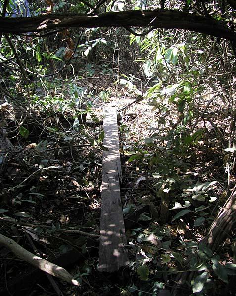 As I entered the minefield, there is a path to follow.  You DO NOT step off these boards.