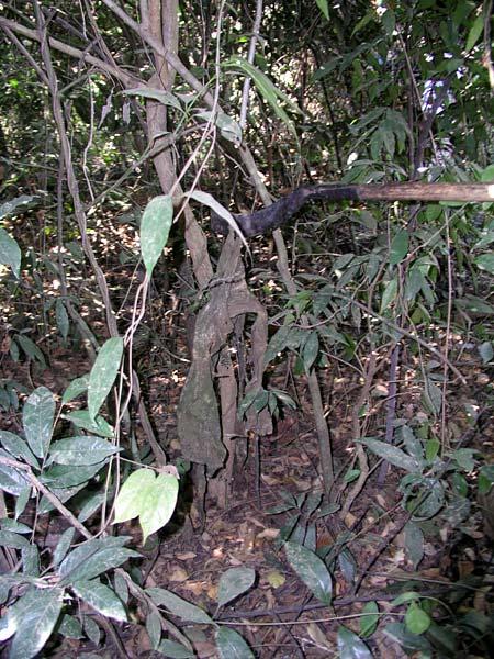 This is why you don't step off the path.  Just off the path, we found the uniform of a Khmer Rouge soldier killed by a mine.  Though mines don't usually kill adults.  They are weapons designed to injure and maim rather than kill.
