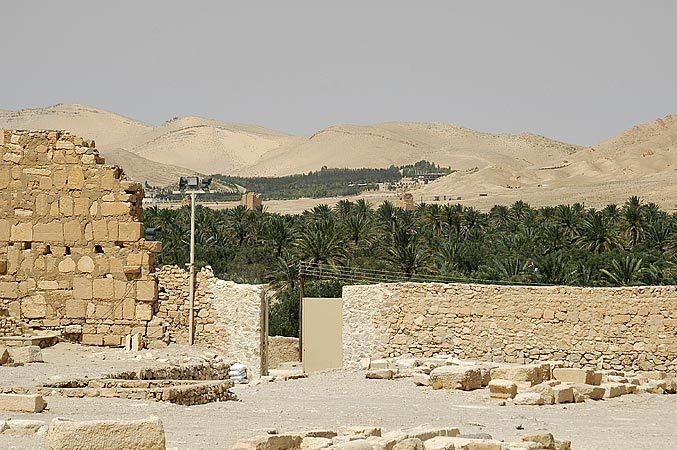 The Oasis of Palmyra which allowed this amazing city to grow in the desert.