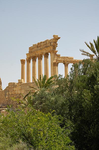 View of the ruins from the Oasis.