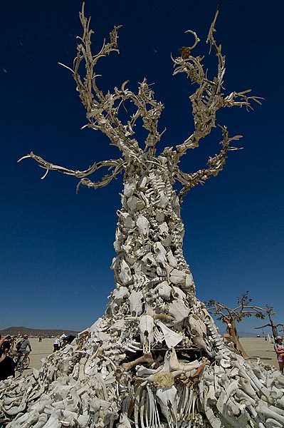 The bone tree.