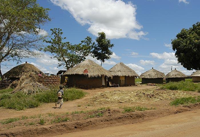 Traditional homes in Gulu - When you come across round mud huts with thatched roofs, it feels like 'Real Africa'.