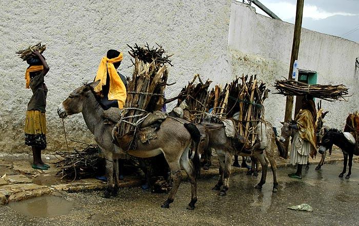Firewood vendors in Harrar.