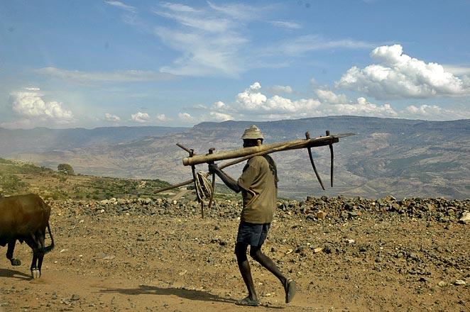 A farmer carrying his plow down the road.