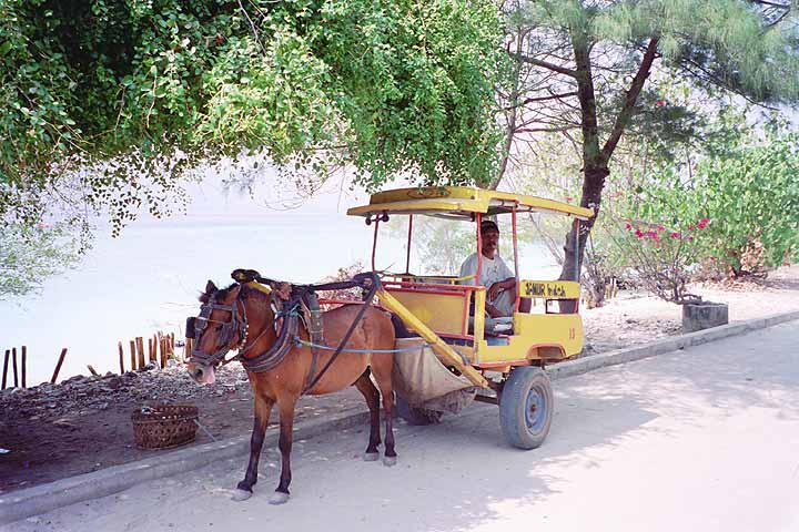 The closest thing to an ambulance that can be found on Gilli Trawangan.