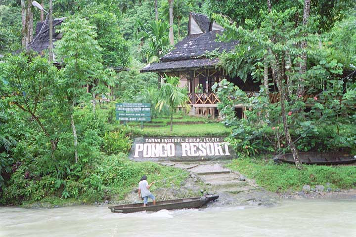 Nicer accommodations in Bukit Lawang.  This one is attached to the Orangutan feeding center.
