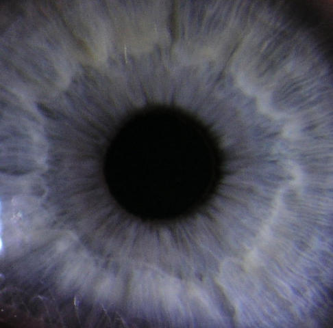 Just testing to see what I could do with macro mode.