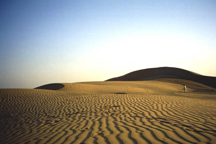 The dunes where we camped for an evening.