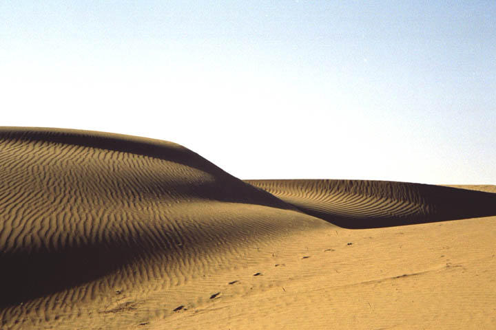 The dunes where we camped for an evening.
