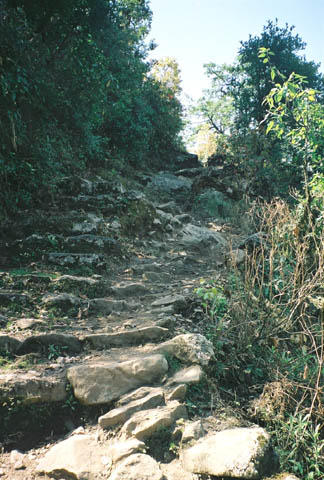 29,000 feet of climbing up and down steep rocky stairs nearly destroyed my knees.
