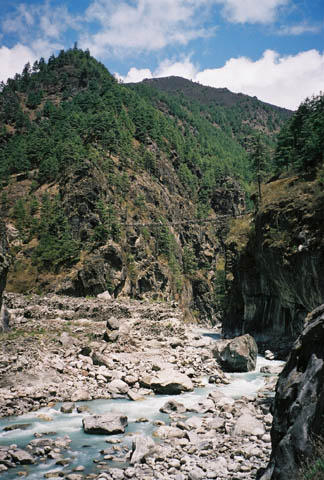 More of the trek.  You can see a bridge in the distance.