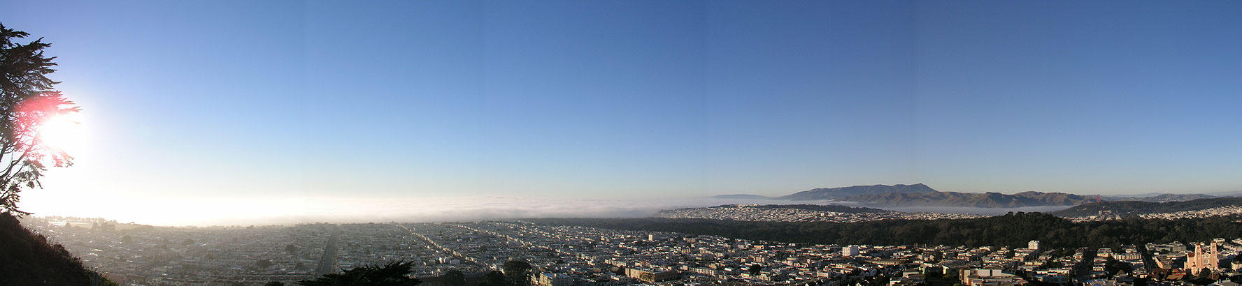 Watching the fog roll in.